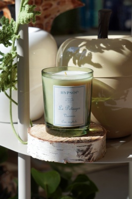 Bougie parfum�e potager - Verveine