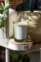 Bougie parfum&eacute;e potager - Verveine