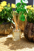 Le diffuseur Romarin